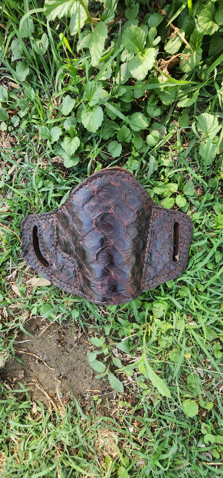 Pirarucu fish