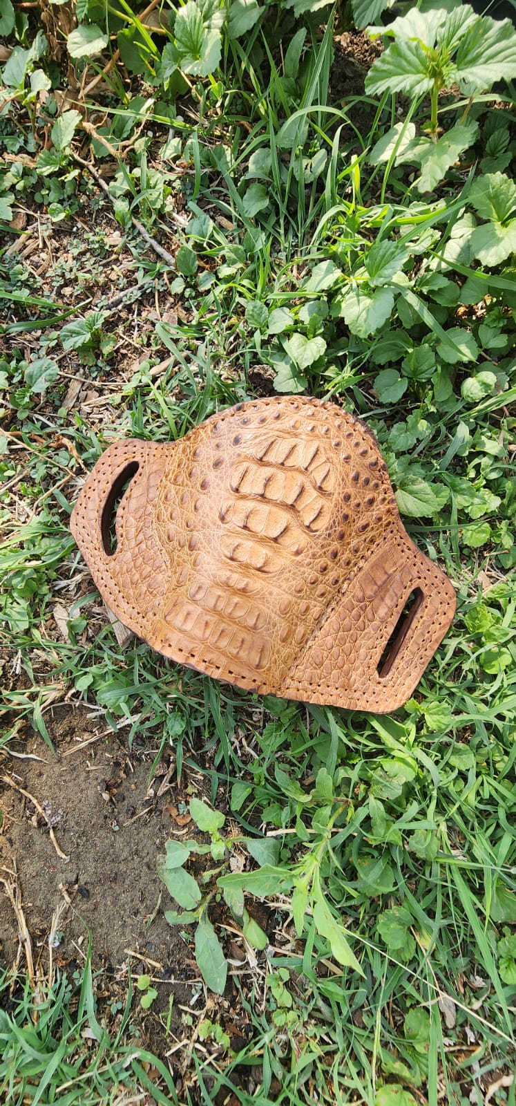 Gator