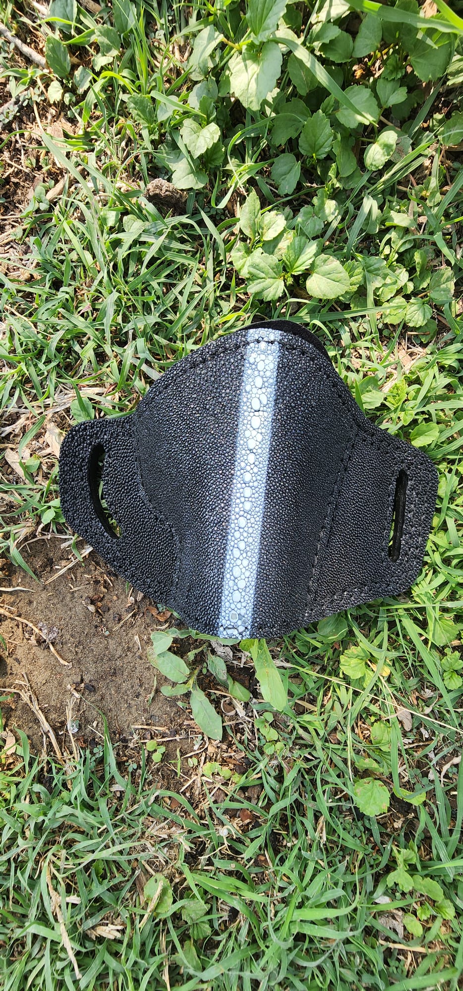 Stingray